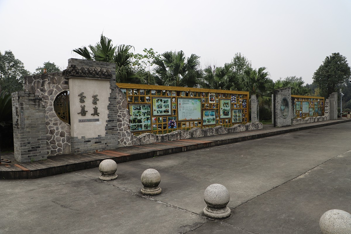 1670034336425705.jpg IMG_4542.JPG